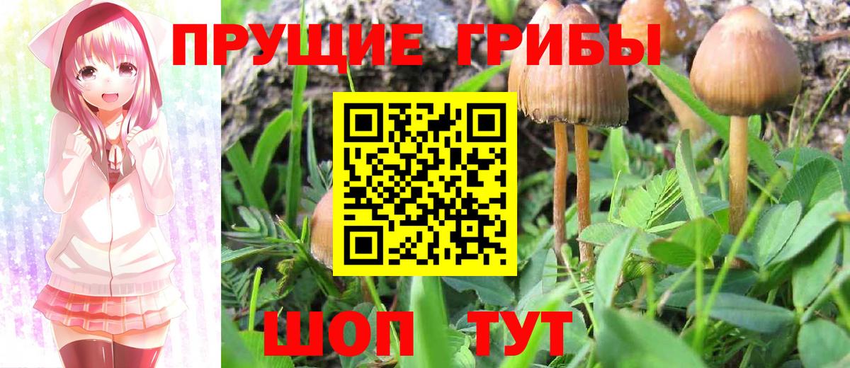 Псилоцибиновые грибы MAGIC MUSHROOMS Гусиноозёрск