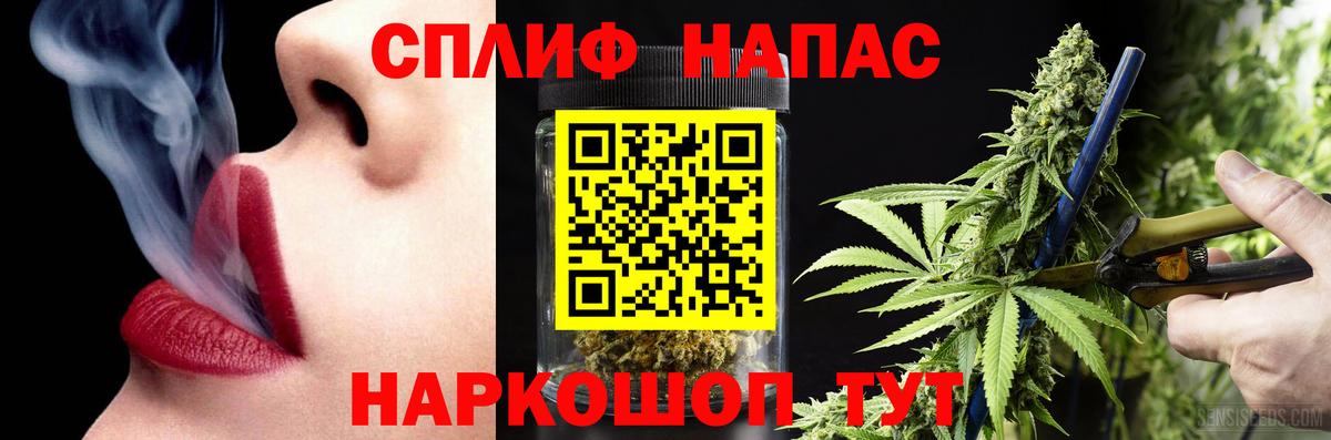Бошки Шишки конопля Гусиноозёрск